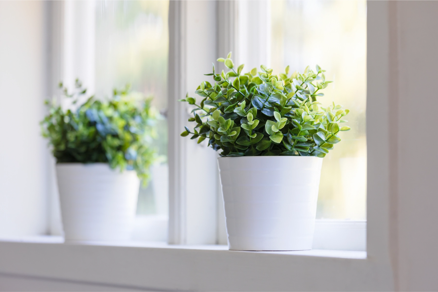 accreditations - Douglas Allen