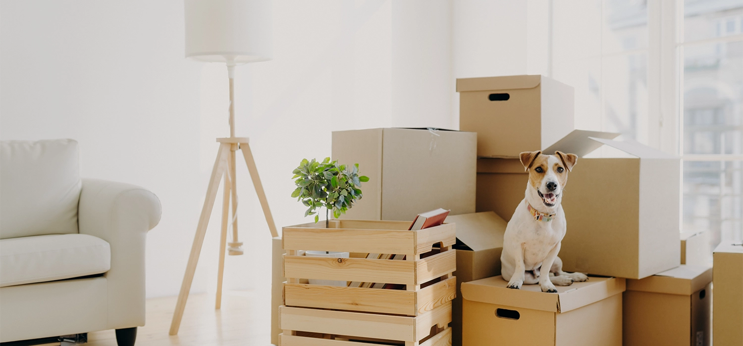 why buy a new home? - Douglas Allen