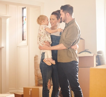 Guides - complete guide - Douglas Allen