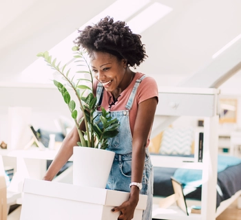 Guides - steps to sale - Douglas Allen